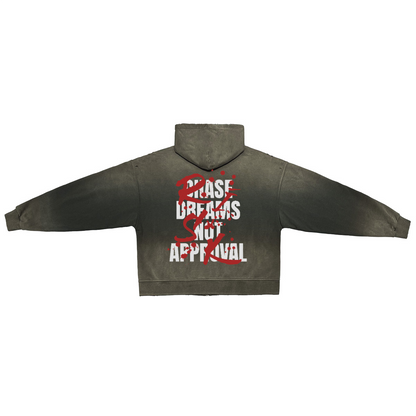 "CHASE DREAMS, RISK" Washed Zip-up Hoodie